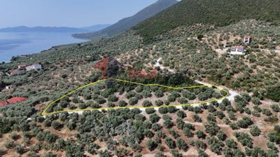 38126217ce384b3fa56c09bbfb27a83d