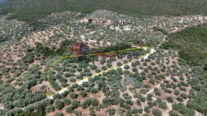 Image No.13-Propriété à vendre à Pteleos