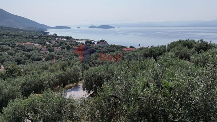 Image No.14-Propriété à vendre à Pteleos