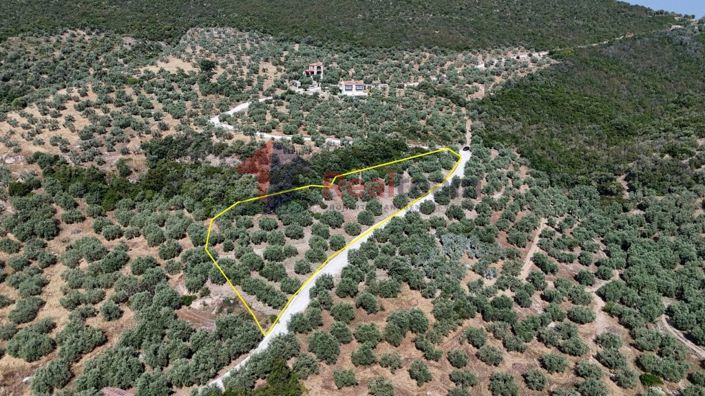 Image No.16-Propriété à vendre à Pteleos