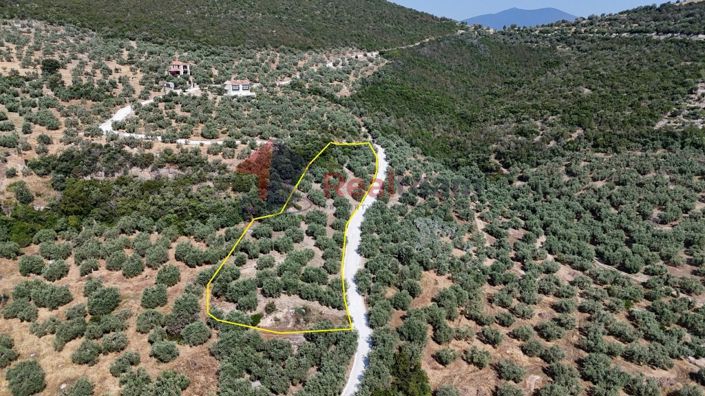 Image No.17-Propriété à vendre à Pteleos