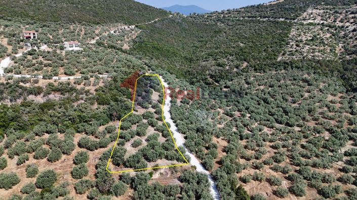 Image No.18-Propriété à vendre à Pteleos