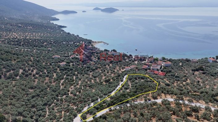 Image No.19-Propriété à vendre à Pteleos