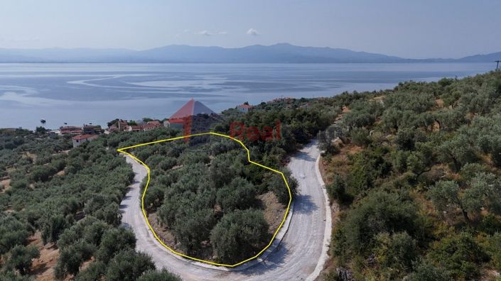 Image No.2-Propriété à vendre à Pteleos