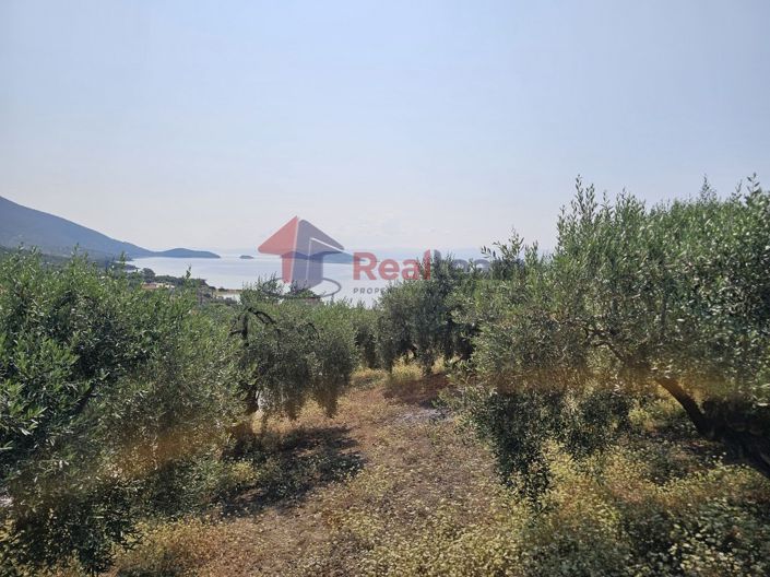 Image No.21-Propriété à vendre à Pteleos