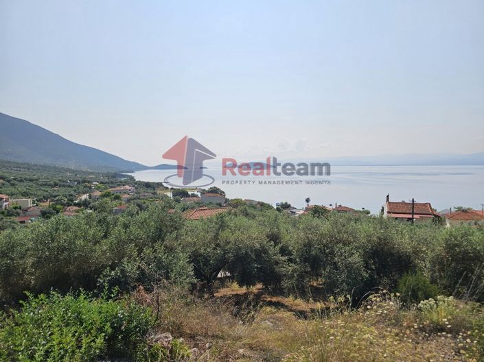 Image No.22-Propriété à vendre à Pteleos