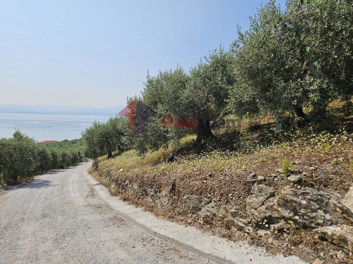 Image No.6-Propriété à vendre à Pteleos