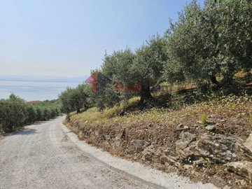 78172e15ab69497ab3ed8c3f64a7d94f