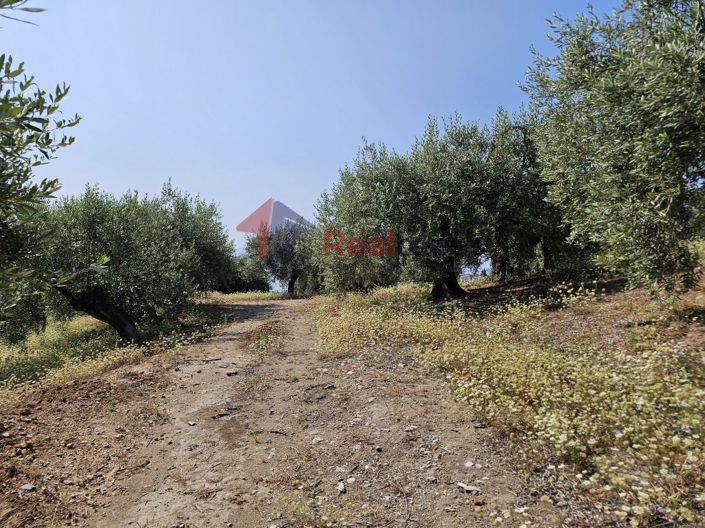 Image No.7-Propriété à vendre à Pteleos