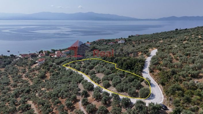 Image No.8-Propriété à vendre à Pteleos