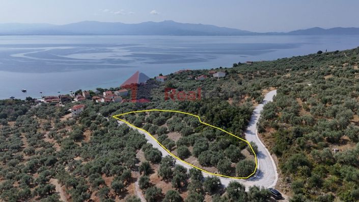 Image No.9-Propriété à vendre à Pteleos