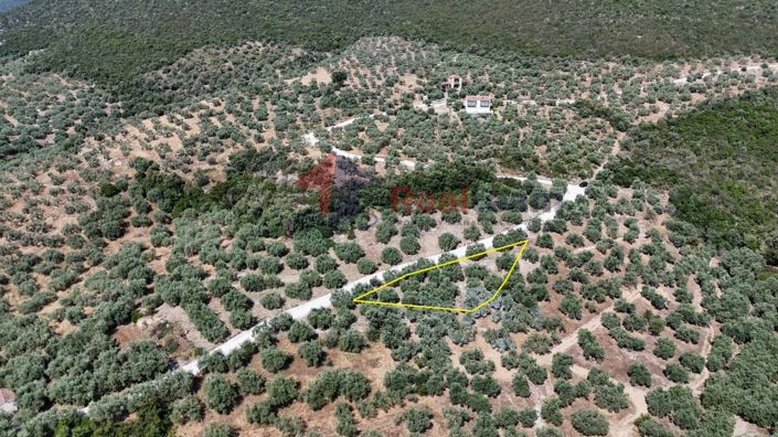 Image No.11-Propriété à vendre à Pteleos