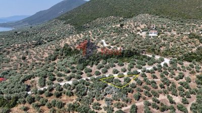 79590826680a483d99c8e7a1e00fd464