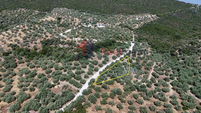 Image No.14-Propriété à vendre à Pteleos