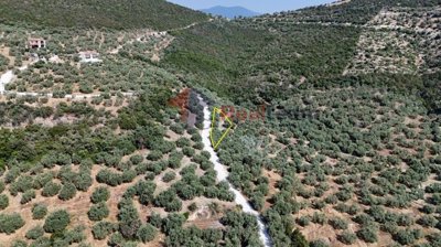 4323db93c51c4e029129bb2f2f8b0a73