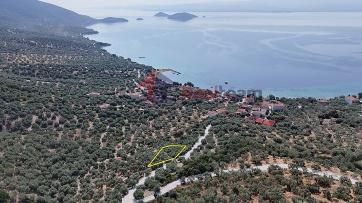 Image No.17-Propriété à vendre à Pteleos