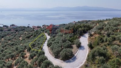 6ec75238ab1243bbb4e4a1f8fdf843c5