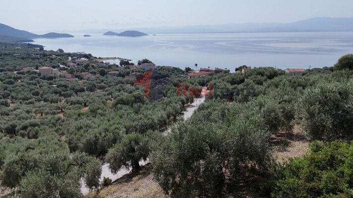 Image No.21-Propriété à vendre à Pteleos