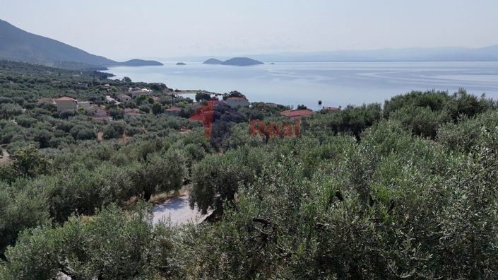 Image No.22-Propriété à vendre à Pteleos