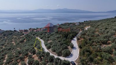 3649d1b696ff42d7b3a3305b105f55f4