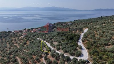 39581b7429434375ad198a67a9248667