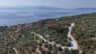 a08b87daa36c4f48a5a0c0ace408a0de