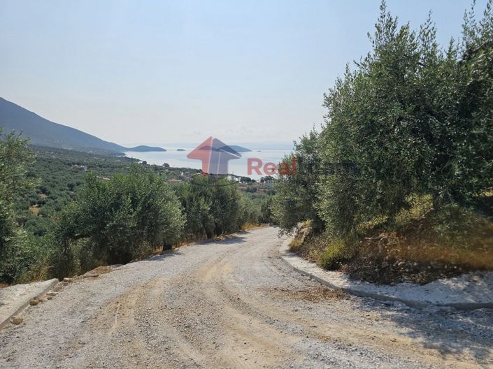 Image No.7-Propriété à vendre à Pteleos