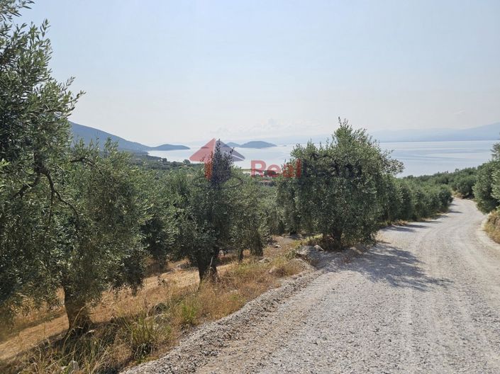 Image No.8-Propriété à vendre à Pteleos