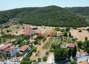 8ef551c586774e94b99c1ad98397f69d