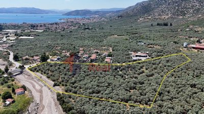 2bdeb3c5a39348de9125c15e275218bc