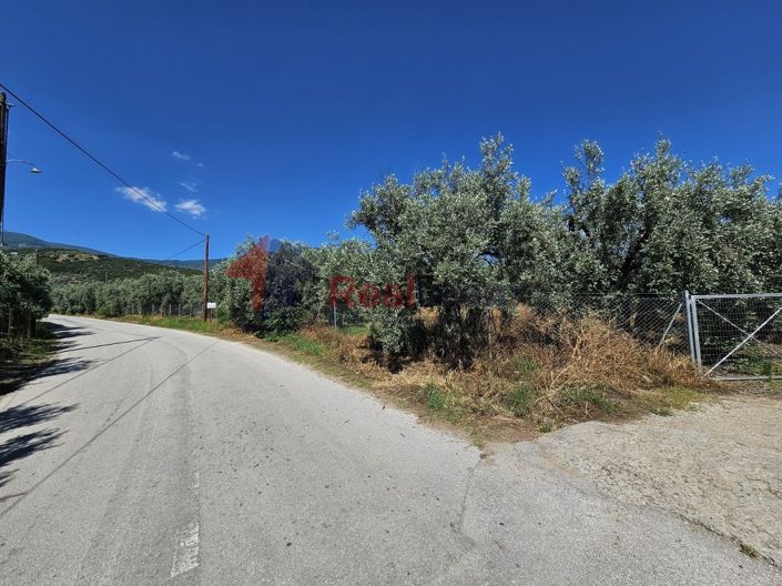 Image No.12-Propriété à vendre à Artemida