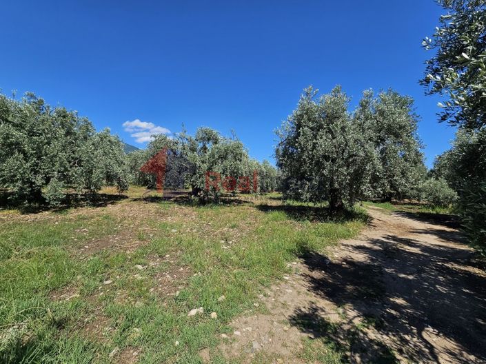 Image No.13-Propriété à vendre à Artemida