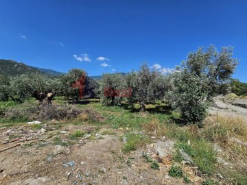 2618b47ea0a14ec49d3c214692a59c7b