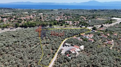 ecc27c50672643deb41edc3c02f7dc7e