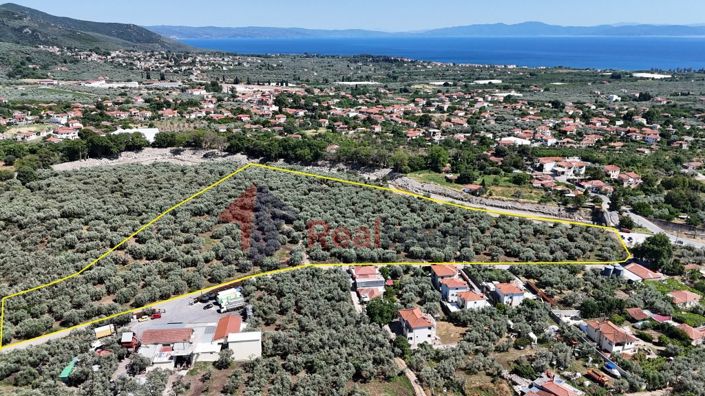 Image No.17-Propriété à vendre à Artemida