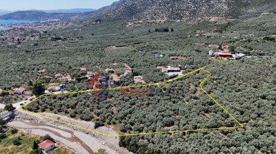 c8160f3dcb6047038b0aa6470856f0ed