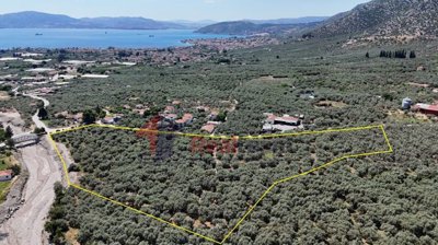 c2df103ecdaa4963bd6c123881cebed8