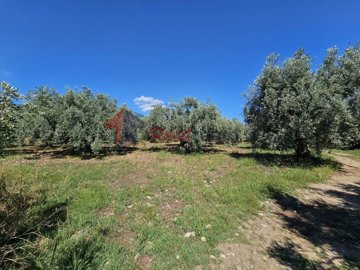 1fa3e83d4e11458aad5f2d8e1221b146