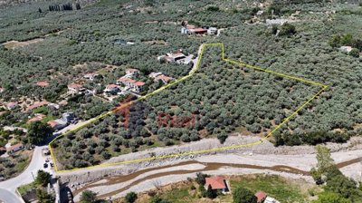 e5bdacbb540c415cad1c39d1c999f9e2