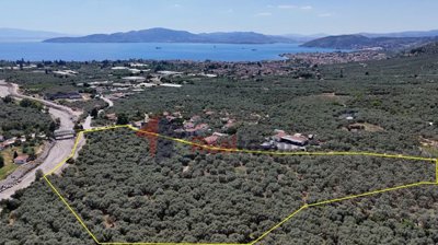 11d5df894d8d4254a79603b31122f0b0