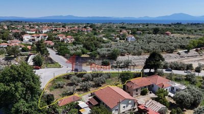 1359ab78b6d84cf492b9769a0e709a62