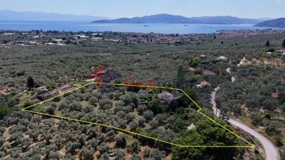 0b0aa4caf6c4436d8dc66bffa2957a11