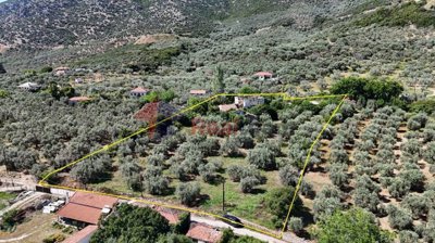 973222563a0444bcb1fe7bfa035b25c8