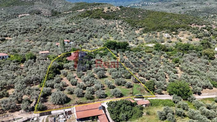 Image No.11-Propriété à vendre à Artemida