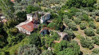 8c80d001503244e3821874ec1f96ddc0