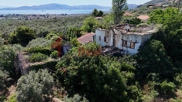 Image No.13-Propriété à vendre à Artemida