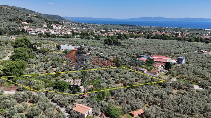 Image No.14-Propriété à vendre à Artemida