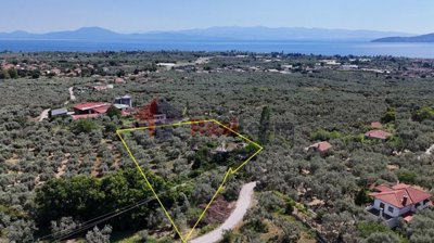 a40cc458cdbf4994b5ee5343f56b83c5