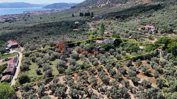 Image No.2-Propriété à vendre à Artemida