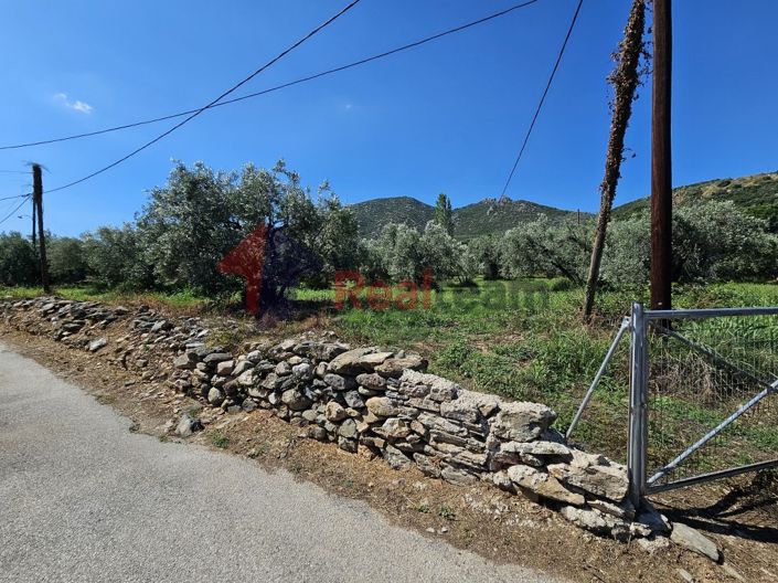 Image No.20-Propriété à vendre à Artemida